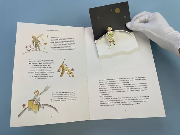 Книга Маленький принц (подарочный) (Антуан де Сент-Экзюпери) — 10