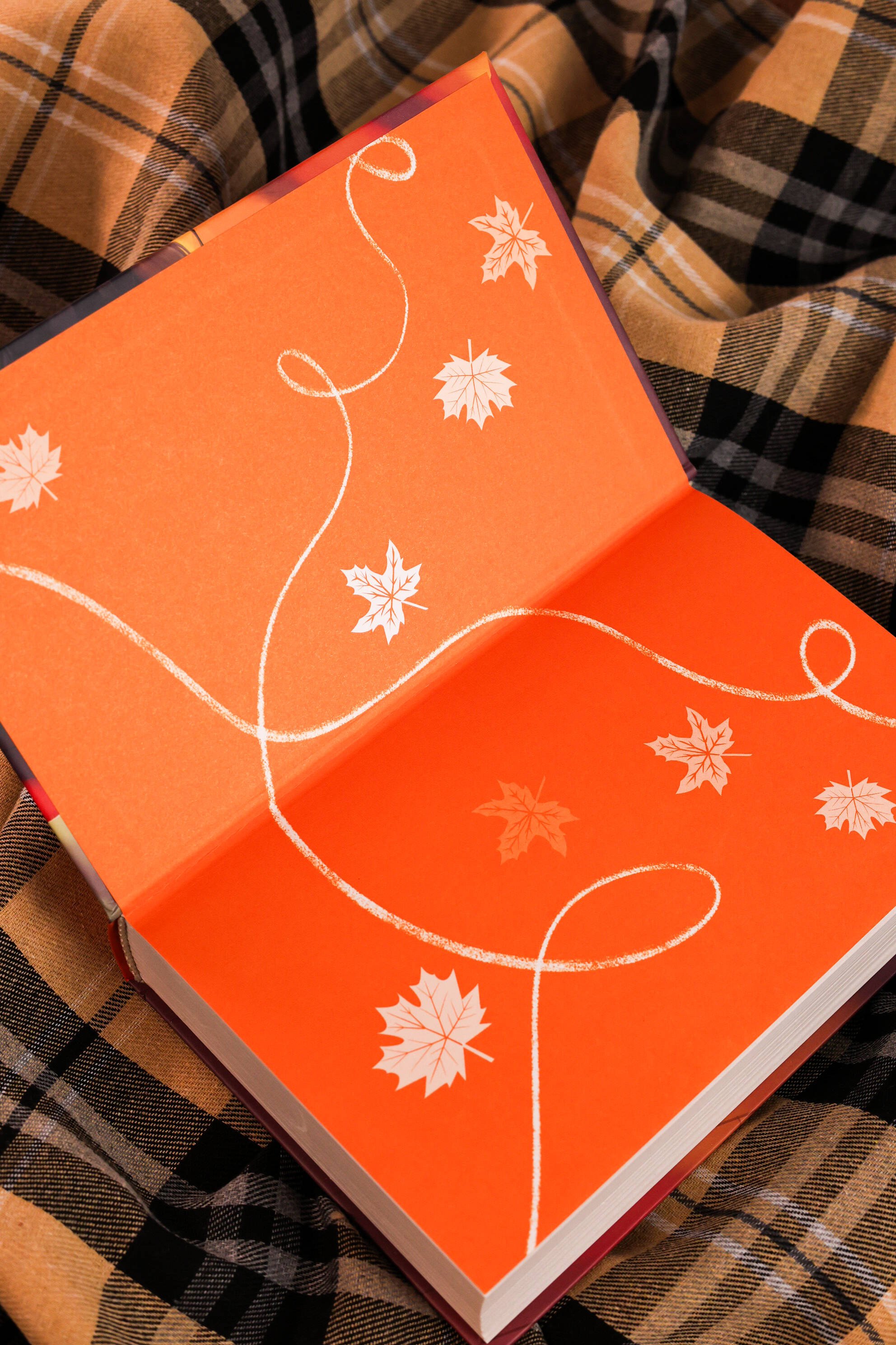 Изображение бумажной книги