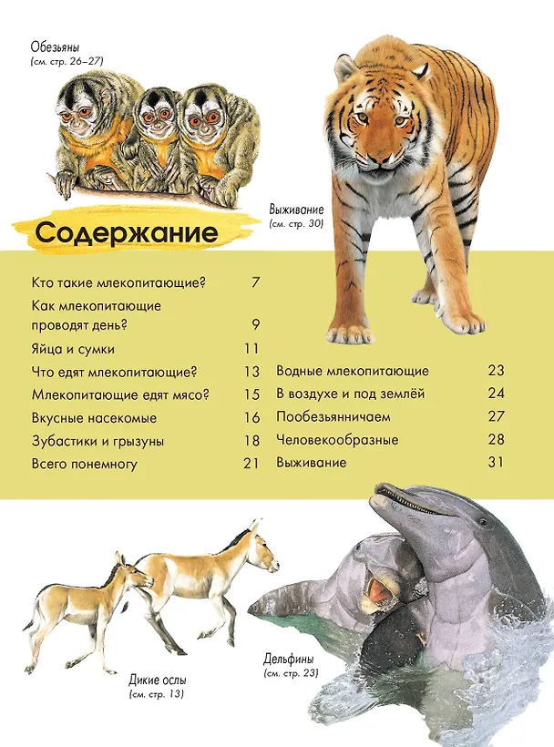 Книга Животные (Энн МакРей, Лоредана Агоста) — 9
