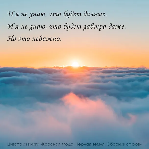 Книга Красная ягода. Черная земля. Сборник стихов (Анна Долгарева) — 5