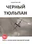Чёрный тюльпан. Повесть о лётчике военно-транспортной авиации — 2911076 — 1