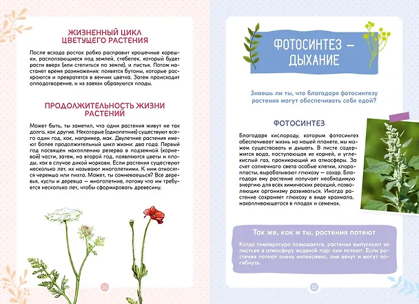 Книга Растения вокруг нас (Роберт Каплан, Франсуа Куплан) — 9