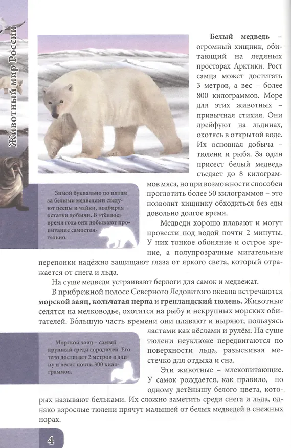 Книга Животный мир россии (Оксана Балуева) — 2
