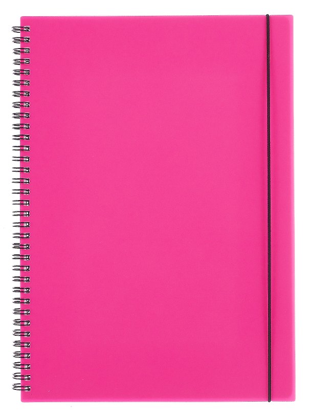 Тетрадь общая «Favorite Color. Neon Pink», 80 листов в клетку, А4 - Listoff 3090699 — 1