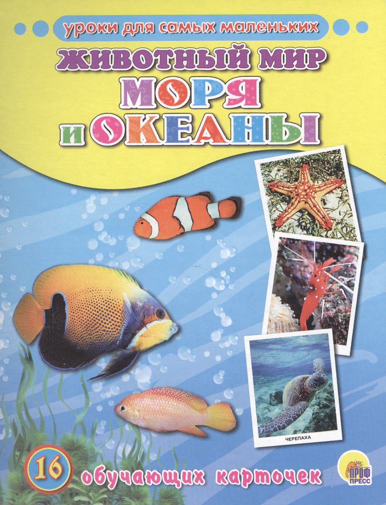 

Животный мир. Моря и океаны