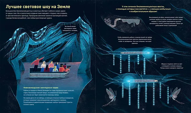 Книга Кто светится в темноте? Невероятные факты о способностях животных (Зои Армстронг) — 6