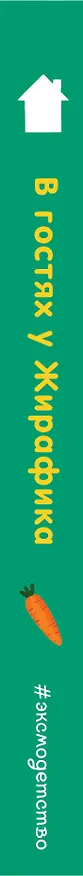 Книга В гостях у Жирафика (Анна Гудзори) — 4