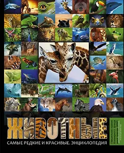 Животные. Самые редкие и красивые. Энциклопедия (книга "Исчезающие животные" в суперобложке)