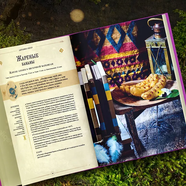 Книга Zelda. Рецепты, вдохновленные легендарной сагой. Неофициальная кулинарная книга (Тибо Вилланова) — 10