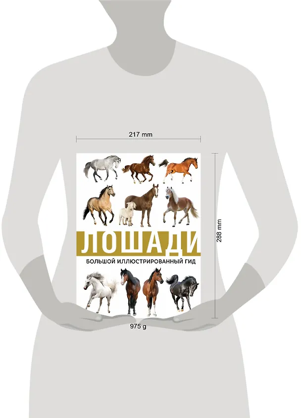 Книга Лошади (Анна Спектор) — 4