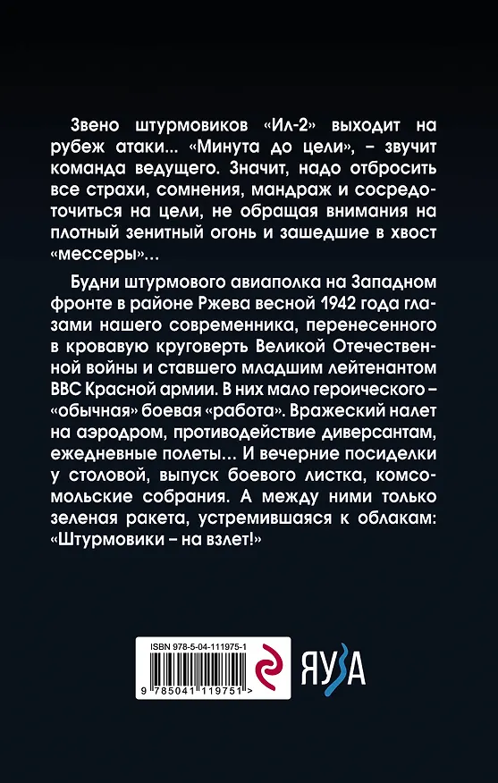 Книга Штурмовик. Минута до цели (Алексей Цаплин) — 2
