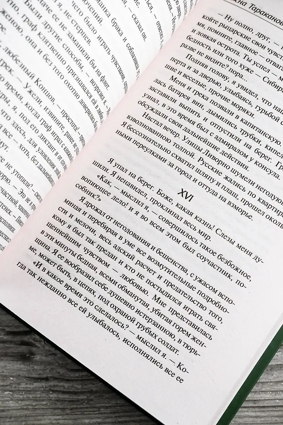 Книга Княжна Тараканова (Григорий Данилевский) — 11