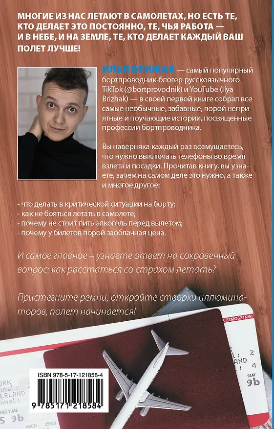 Книга Будни бортпроводника (Илья Брижак) — 2