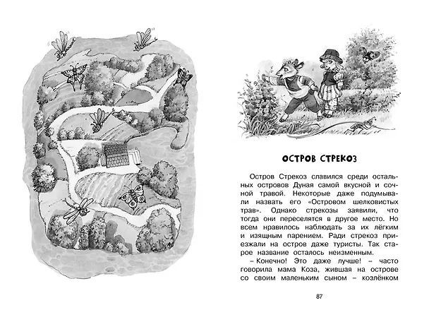 Книга Изюмка и гном (Агнеш Балинт) — 13
