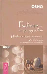 Главное - не раздумывай. Движение вглубь медитации. Личные беседы с современным мистиком