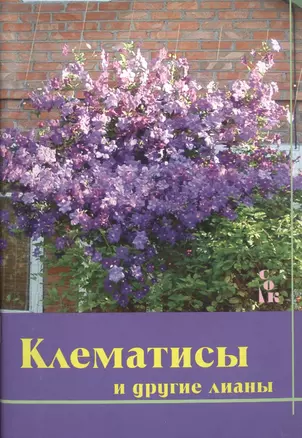 Клематисы и другие лианы — 2489448 — 1