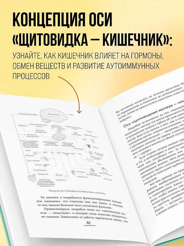 Книга Ось щитовидка - кишечник. Как вылечить щитовидную железу, улучшив состояние кишечной микробиоты (Серена Миссори, Алессандро Джелли) — 7