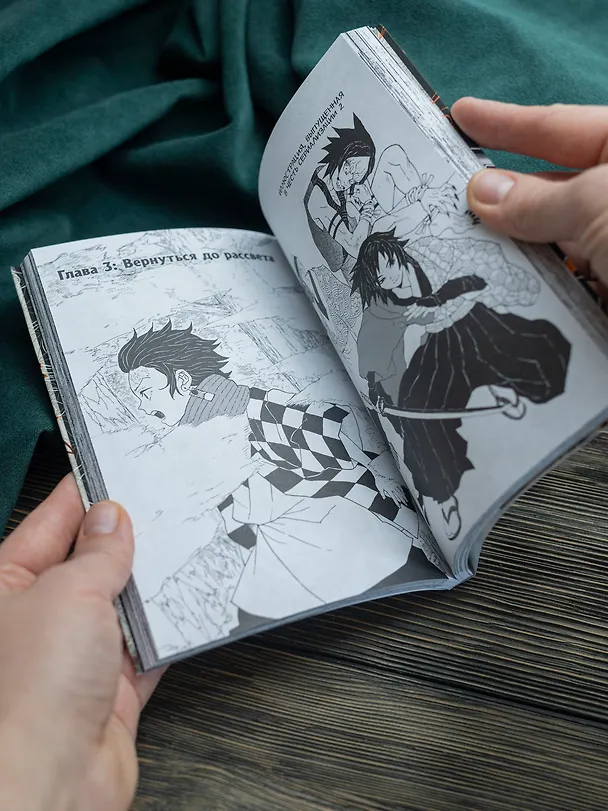 Истребитель демонов. Том 1 (Клинок, рассекающий демонов / Demon Slayer: Kimetsu no Yaiba). Манга 2912095 — 10