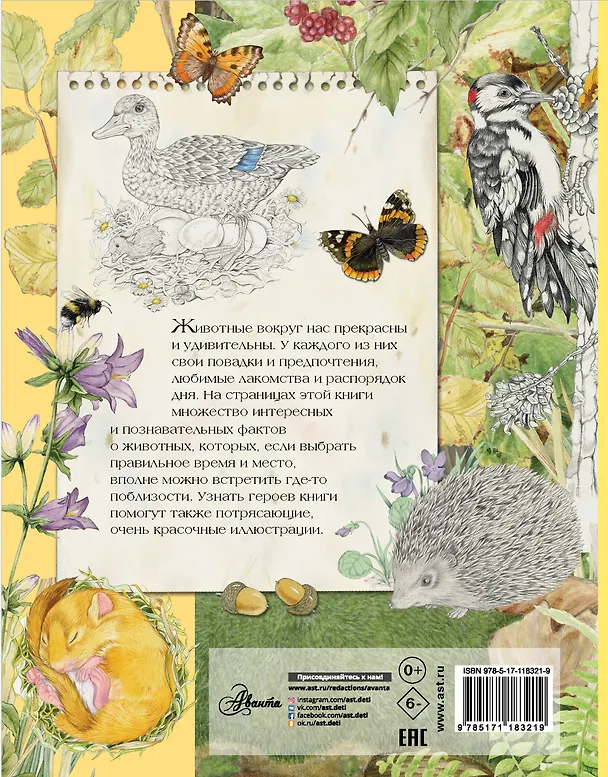 Книга Животные вокруг нас (Р. Барсотти) — 2