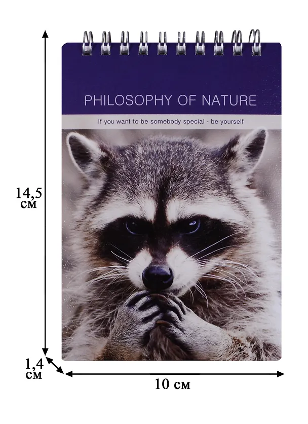 Блокнот А6 100 листов клетка "Raccoon" 246391 — 3