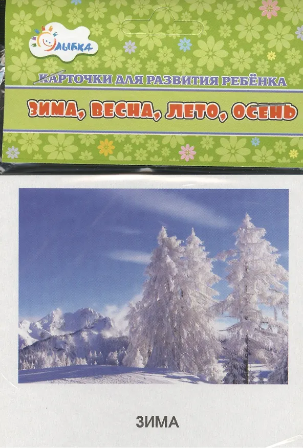 Книга Карточки для развития ребенка "Зима, весна, лето, осень" () — 1