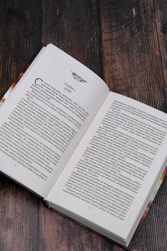 Книга Город опаленных крыльев (Лили С. Морган) — 9
