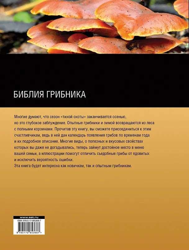 Книга Библия грибника (Александр Матанцев) — 2