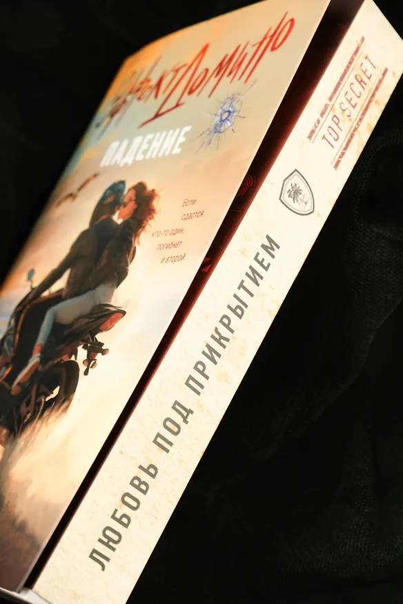Книга Эффект домино. Падение (Кира Оллис) — 14