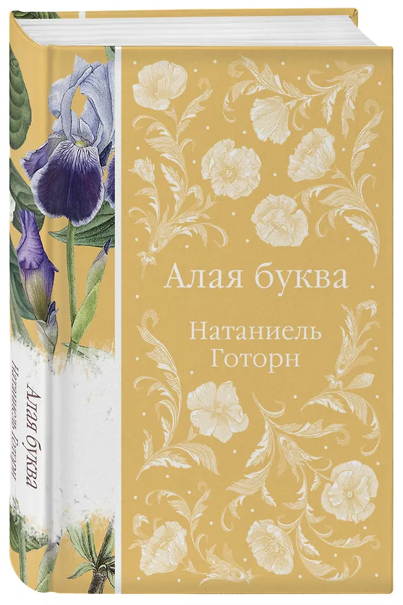 Книга Алая буква (Натаниель Готорн) — 6