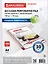 Папка-вкладыш А4 100шт "ECONOMY" перфорированные, гладкие, 30мкм, BRAUBERG — 2937261 — 1