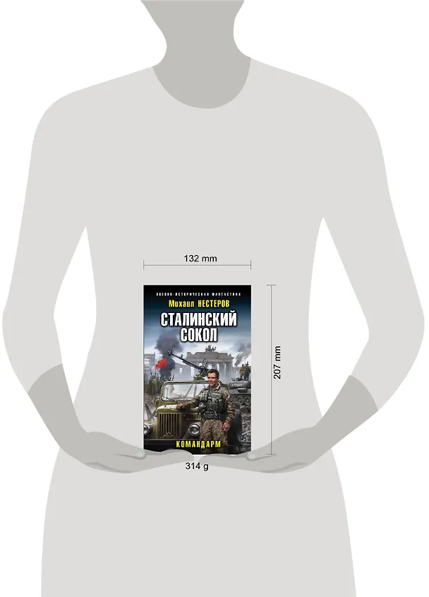 Книга Сталинский сокол. Командарм (Михаил Нестеров) — 5