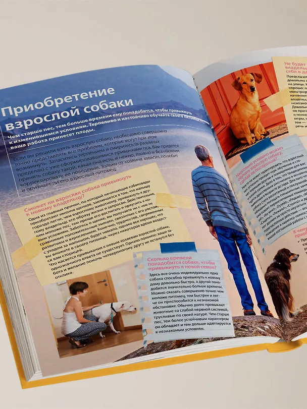 Книга Собаки. Подарочная иллюстрированная энциклопедия (новое оформление) (Андрей Шкляев) — 13