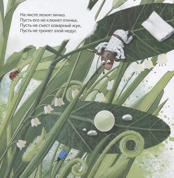 Книга Секрет бабочки (НДК) (Анастасия Орлова) — 2