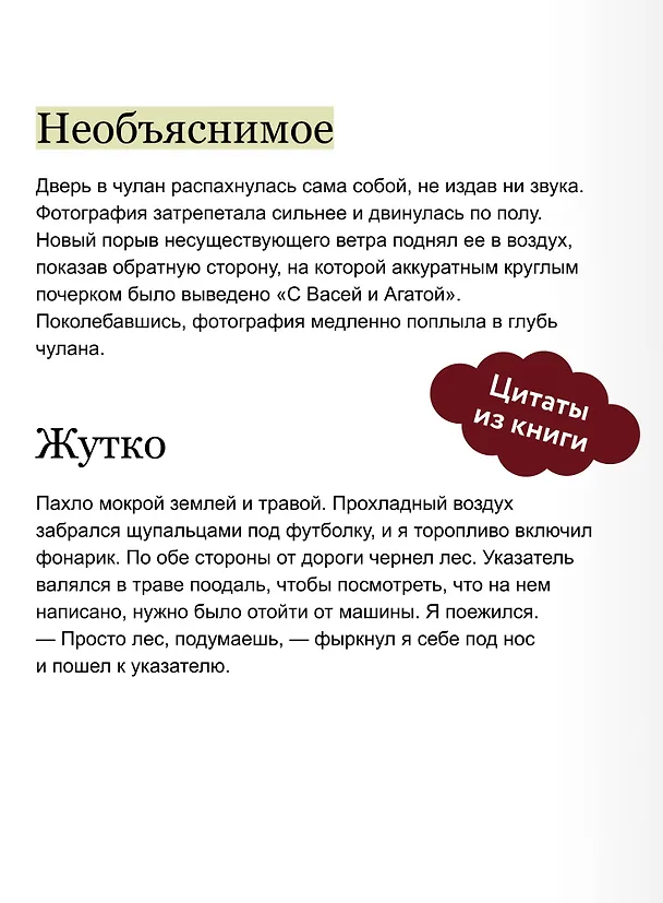 Книга Лавка страха (Софья Яновицкая) — 9