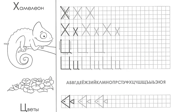 Книга Печатные буквы. Прописи () — 4