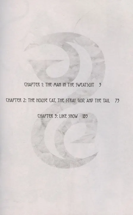 Книга Noragami. Volume 1. Stray God () — 2