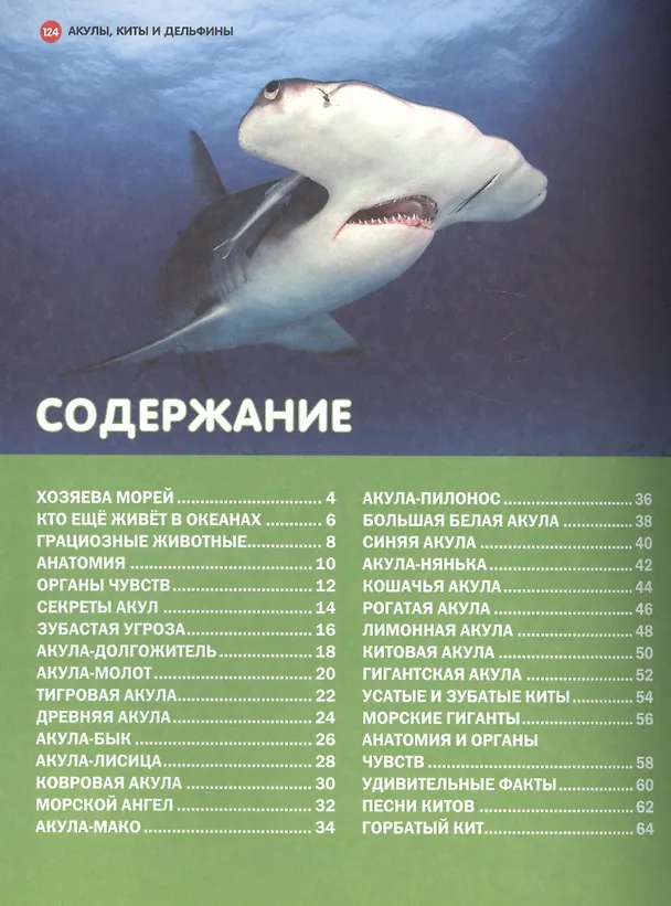 Книга Акулы,киты и дельфины. Большая детская энциклопедия () — 2