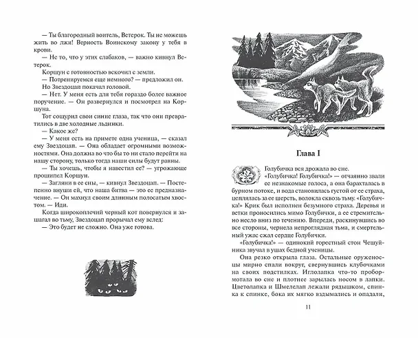 Книга Долгое эхо (Эрин Хантер) — 5