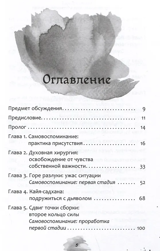 Книга Самовоспоминание: путь к безусловной любви. Руководство пользователя (Красный Ястреб) — 2