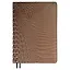 Ежедневник недат. А5+ 192л 175x245 "Аллигатор" светло-коричневый, иск.кожа, тв.переплёт, поролон, офсет, ляссе, мет.уголки, подар.карт.коробка с ПВХ-крышкой — 2995272 — 2