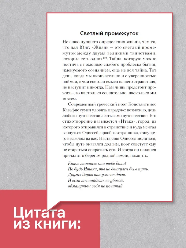 Книга Перевал в середине пути. Как преодолеть кризис среднего возраста (Джеймс Холлис) — 5