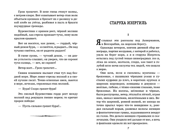 Книга На дне. Старуха Изергиль (Максим Горький) — 11