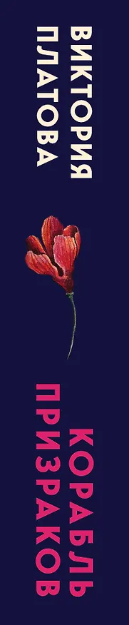 Книга Корабль призраков (Виктория Платова) — 3