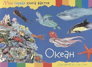 Океан. Для детей от 2 до 7 лет — 2681186 — 1