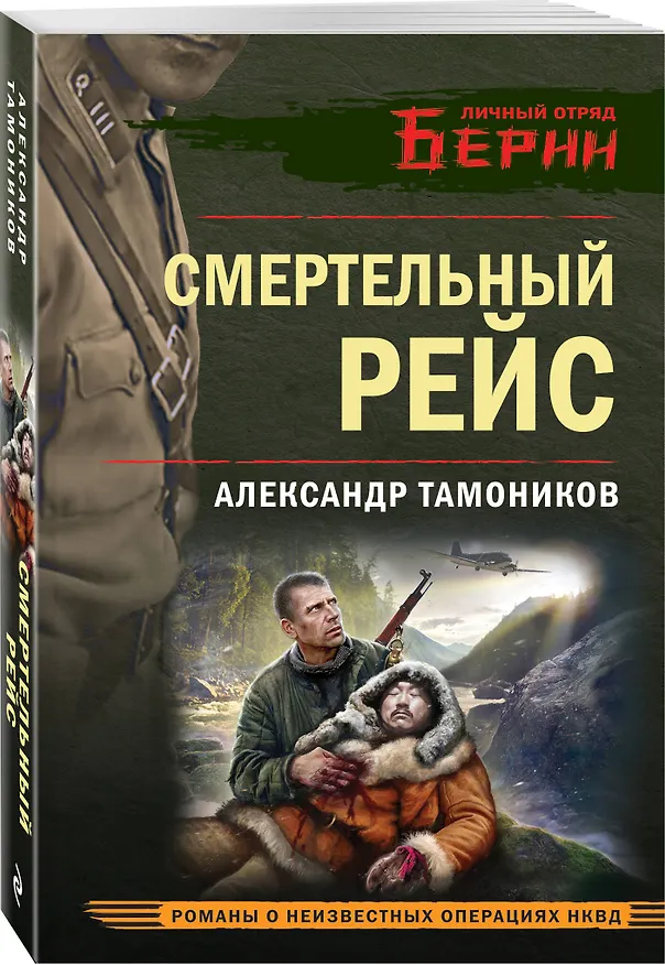 Книга Смертельный рейс (Александр Тамоников) — 5