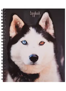 Тетрадь в клетку Unnika, "Магический взгляд (животные)", 80 листов, в ассортименте