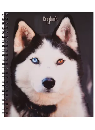 Тетрадь в клетку Unnika, "Магический взгляд (животные)", 80 листов, в ассортименте 244066