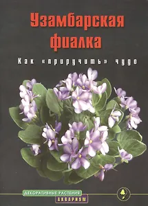Узамбарская фиалка. Как приручить чудо. (цвет)
