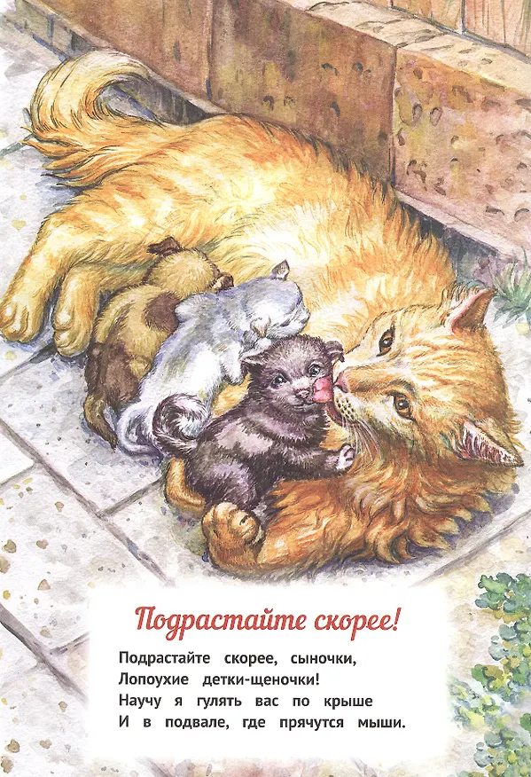 Книга Мы - родные! (Ирина Романова) — 4