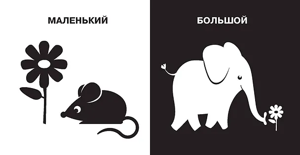 Книга Противоположности. Первые тактильные книжки-картонки () — 14